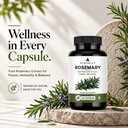 rosemary-leaf-capsules-veg-capsule-nutri-71Olt0DUvsL.jpg