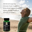 ashwagandha-ksm66-magnesium-glycinate-fo-71J7kXLMWcL.jpg