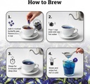 butterfly-pea-flower-tea-for-eye-skin-ha-61oEQMzXVVL.jpg