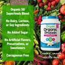 orgain-organic-protein-50-superfoods-pro-91W2-JNSiZL.jpg