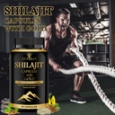 nutriley-shilajit-gold-capsules-with-24--716WUHr6sZL.jpg