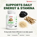 regain-maxx-capsules-shilajit-ashwagandh-71-PatEV9VL.jpg