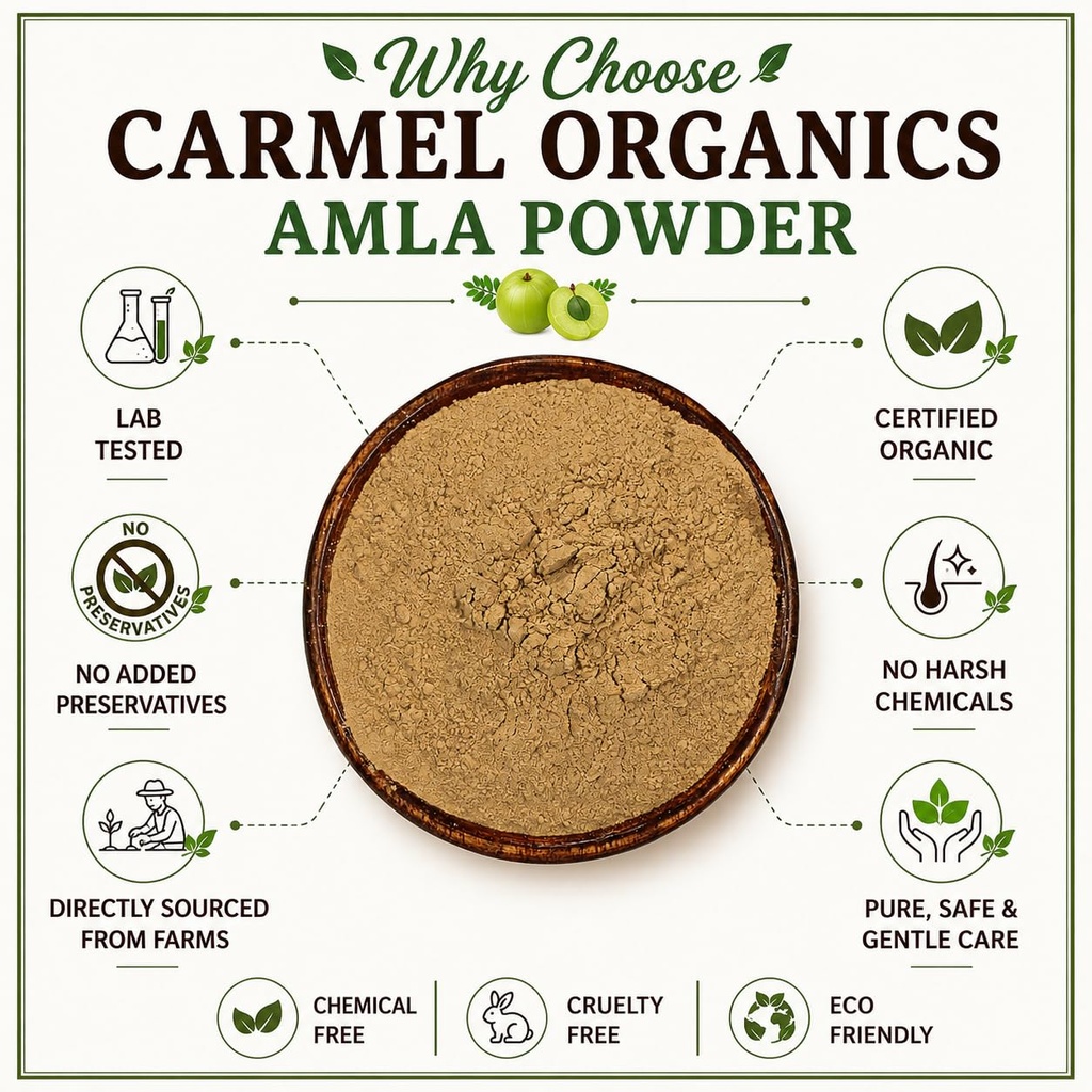 carmel-organics-amla-fruit-powder-340-gr-71pWBXldZqL.jpg