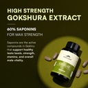 rasayanam-ashwagandha-ksm-66-500-mg-and--61uKHxY3-OL.jpg