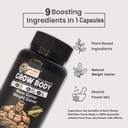 best-choice-nutrition-grow-body-mass-gai-71WDgknnPnL.jpg