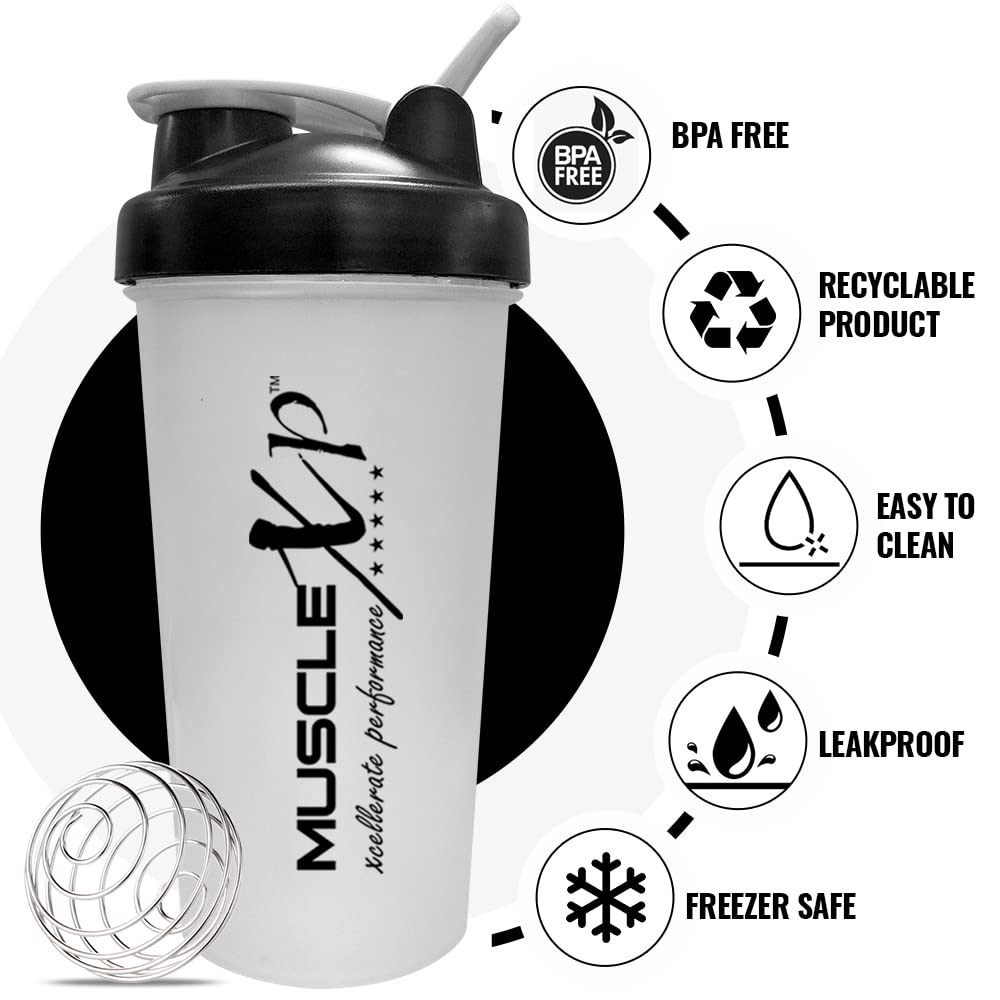 musclexp-gym-shaker-perfect-for-gym-bpa--61BgM4iBGCL.jpg