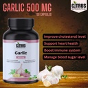 garlic-extract-500mg-capsules-81abtMZxCBL.jpg