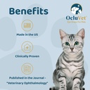 ocluvet-pet-eye-drops-for-dogs-cats-2-na-610XL-1ga3L.jpg