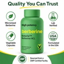 advanced-bionetix-1500mg-advanced-bioava-61SNM2iw2ZL.jpg