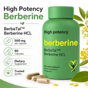 advanced-bionetix-1500mg-advanced-bioava-61tEvjNLfnL.jpg