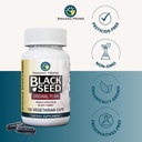 amazing-herbs-whole-spectrum-black-seed--61iE0HALeVL.jpg