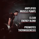 jacked-factory-nitrosurge-shred-thermoge-71ZFRwgpsNL.jpg