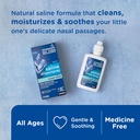 mommy-s-bliss-saline-drops-spray-nasal-r-91QvjBBh9uL.jpg