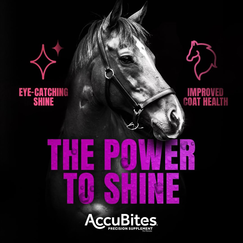 manna-pro-accubites-radiance-equine-supp-61WdePPgQnL.jpg
