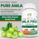 amla-capsules-1000mg-per-serving-120-veg-71lPeltk5NL.jpg