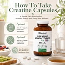 pristine-s-nsf-certified-creatine-monohy-81cbUVXnGIL.jpg