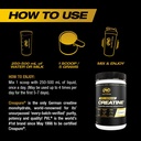 pvl-creapure-creatine-monohydrate-100-ge-61ziJan9fVL.jpg