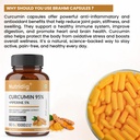 curcumin-extract-95-with-5-piperine-high-81r2XN+sRRL.jpg