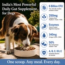 dog-gut-health-supplement-powder-6-billi-71EQa7wDdrL.jpg
