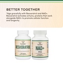 nad-500mg-95-pure-single-ingredient-60-c-81LpXvlAqgL.jpg