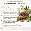 pippali-whole-50gm-long-pepper-raw-pipli-71uin1NpXtL.jpg