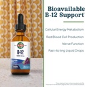 kal-b12-1000-mcg-dropins-high-absorption-3.jpg