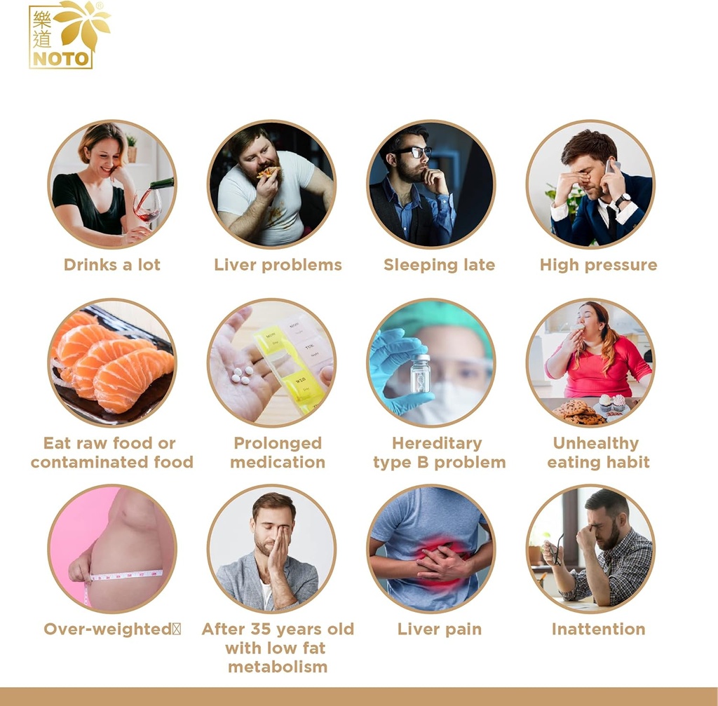 noto-liver-fortifying-zhangzhi-heath-sup-5.jpg