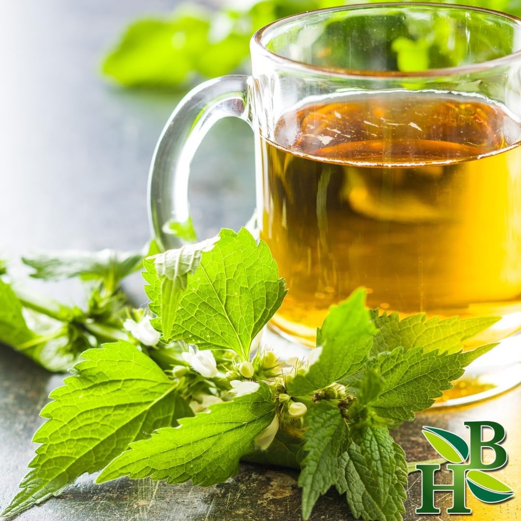 herb-to-body-nettle-leaf-cs-cut-sifted-u-2.jpg