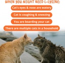 under-the-weather-pet-daily-cat-l-lysine-5.jpg