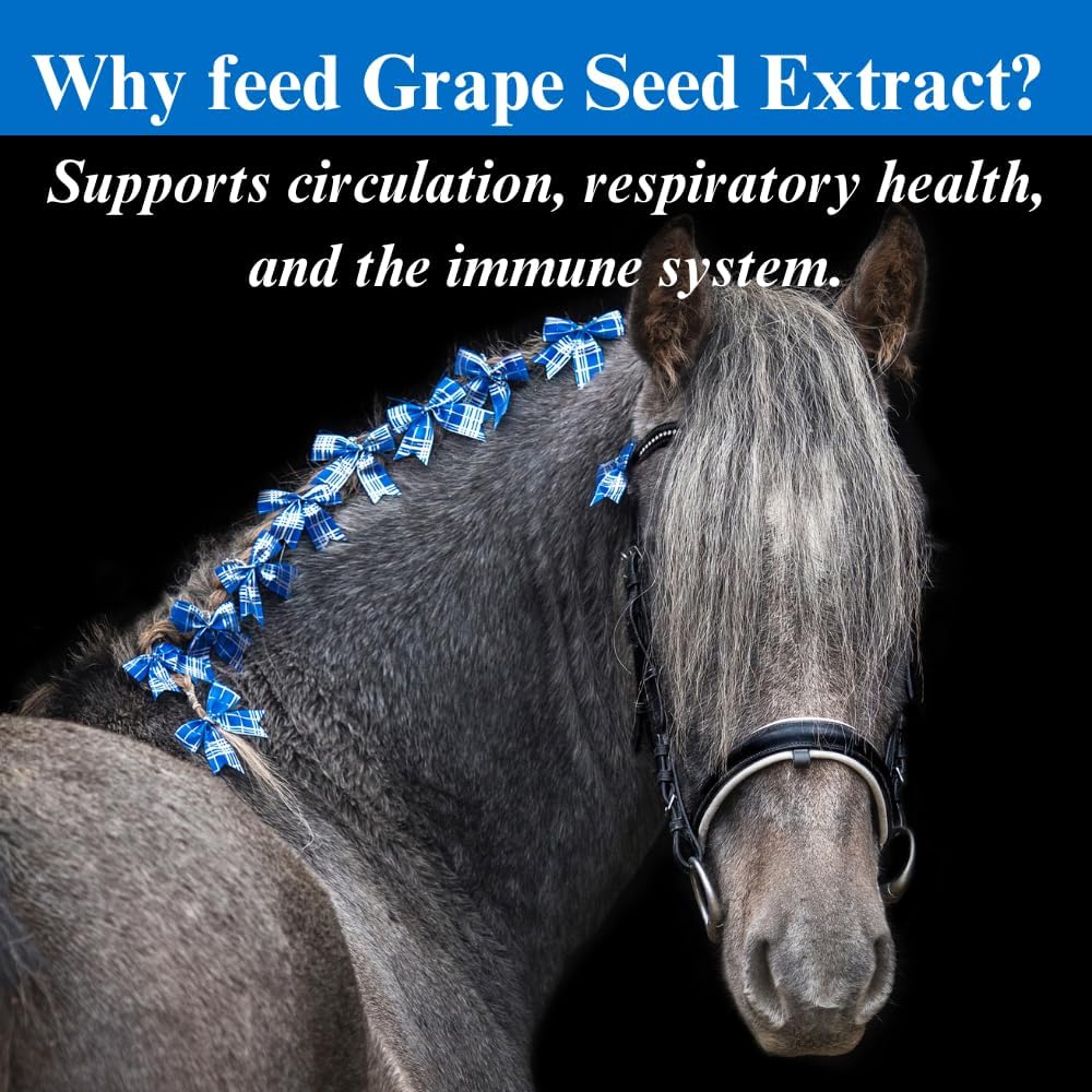 su-per-grape-seed-extract-horse-antioxid-4.jpg