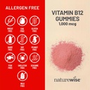 naturewise-vitamin-b12-gummies-for-adult-5.jpg