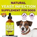 yeast-infection-treatment-for-dogs-dog-e-4.jpg