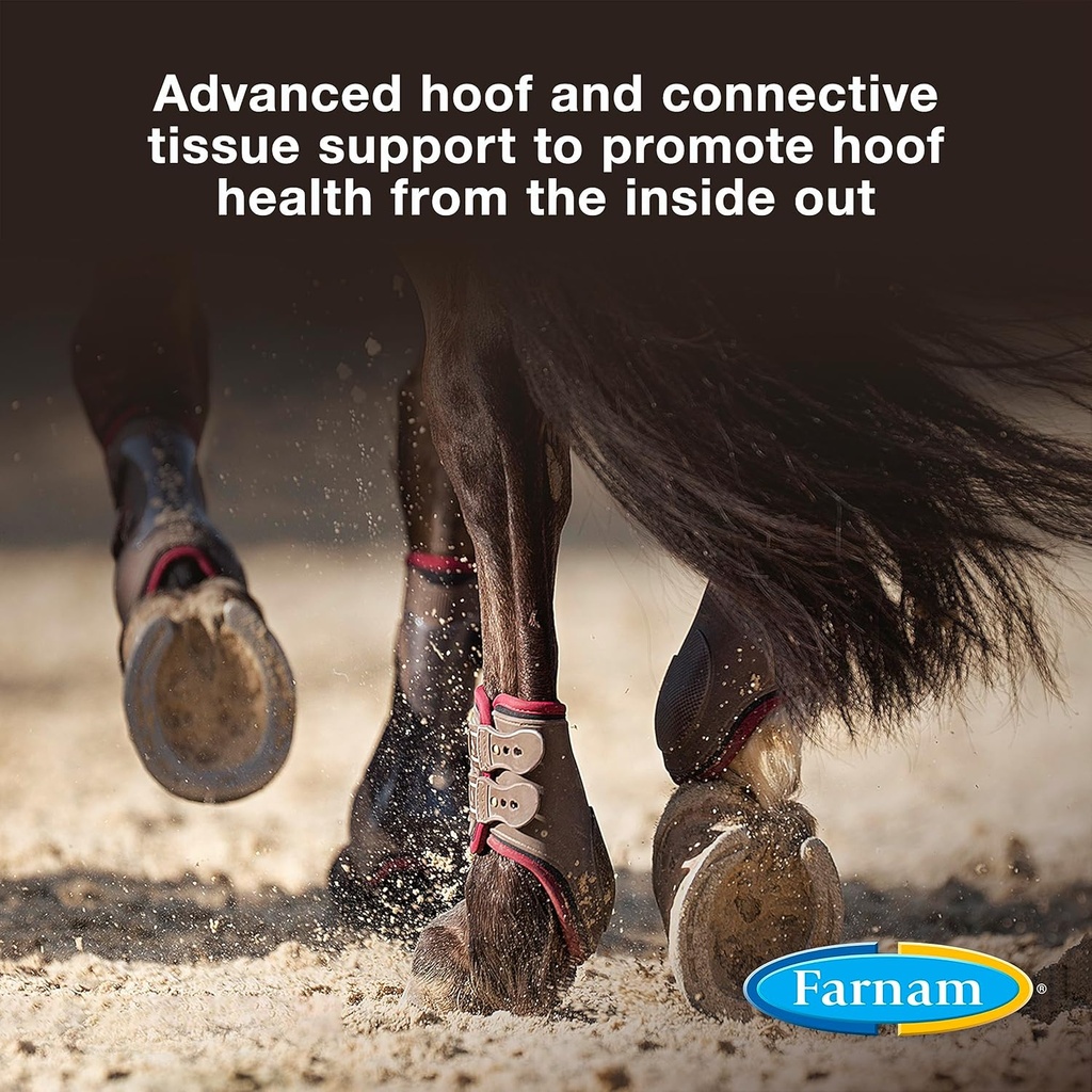farnam-horseshoers-secret-extra-strength-2.jpg
