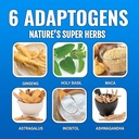 drnx-12-pack-adaptogenic-waters-complete-5.jpg