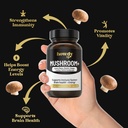 lions-mane-supplement-capsules---mushroo-4.jpg