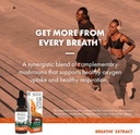 host-defense-breathe-extract---immune-re-5.jpg