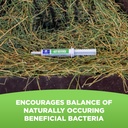 equine-total-gut-defense-all-natural-dig-5.jpg