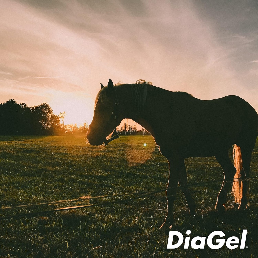 diagel-for-equine---orally-administered--4.jpg