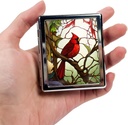 travel-pill-organizer-small-pill-case-fo-2.jpg