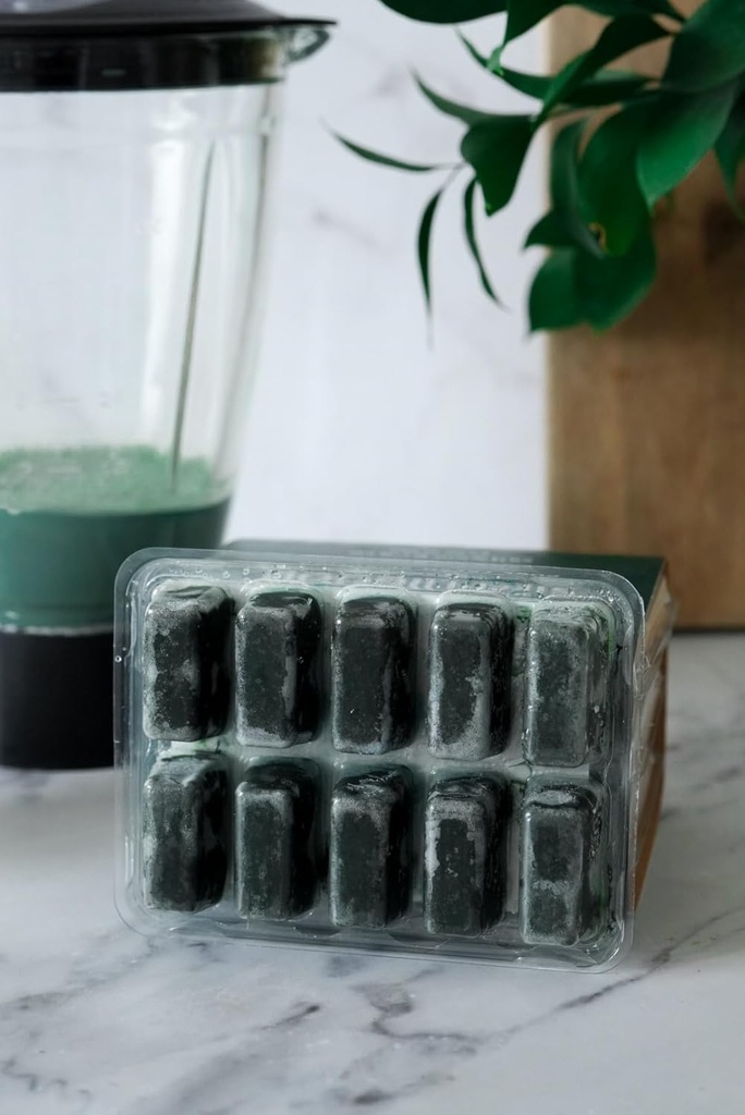 frozen-spirulina-premium-superfood-for-a-4.jpg