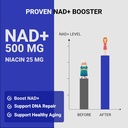 nicotinamide-adenine-dinucleotide-nad-su-3.jpg