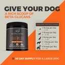 shield-allergy-immune-support-supplement-5.jpg