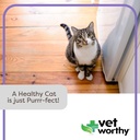 vet-worthy-urinary-paw-gel-for-cats---ca-4.jpg