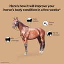 formula-707-weight-gain-powder-equine-su-3.jpg