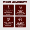 rooted-reishi-mushroom-extract-powder-he-5.jpg