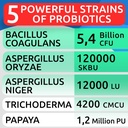 barkspark-dog-probiotic-chews---gas-diar-4.jpg