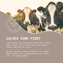favor-bovine-colostrum-packets-liposomal-4.jpg
