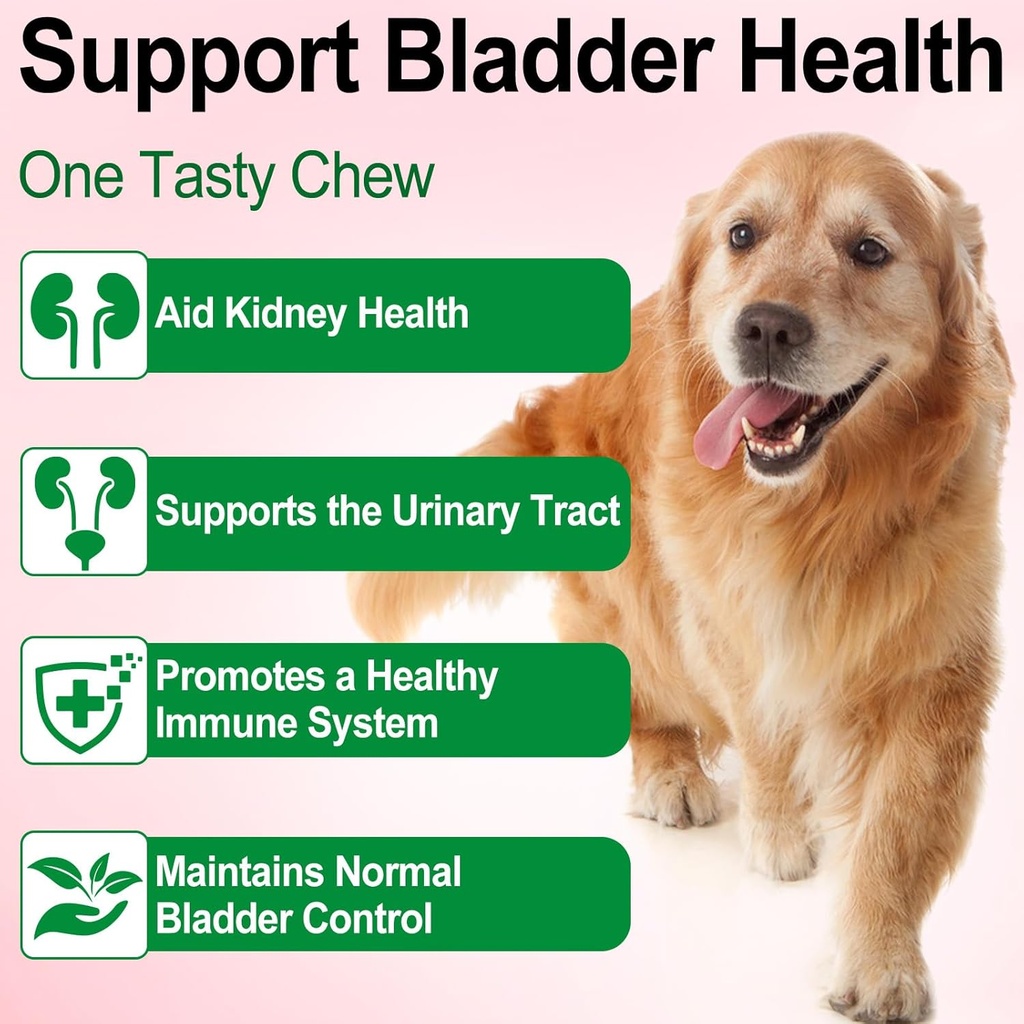dog-uti-treatment---urinary-tract-infect-6.jpg