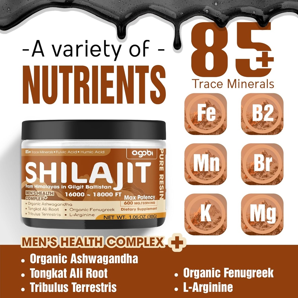 shilajit-pure-himalayan-organic-resin----2.jpg