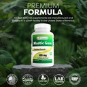 best-naturals-2-pack-mastic-gum-capsules-5.jpg